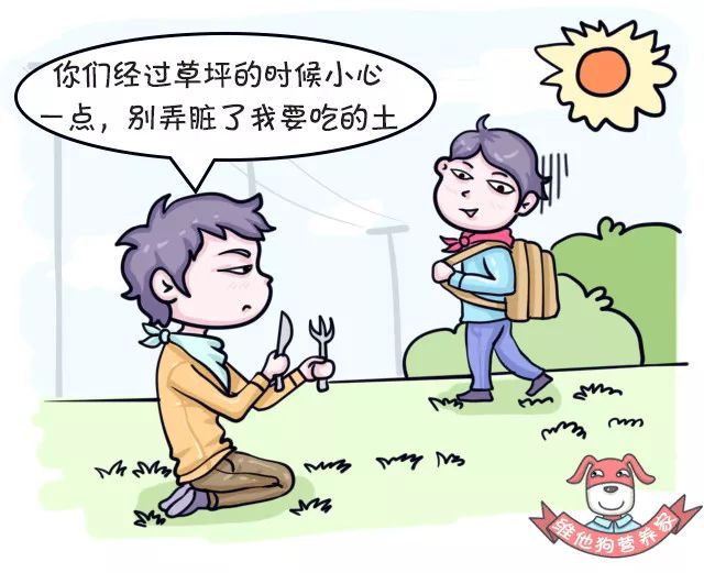 补钙的药品有哪些(药补钙片)-硒宝网