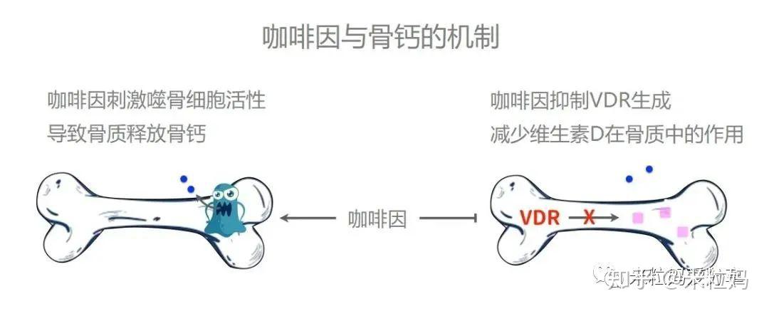 孕妇要补钙吗(孕妇补钙要吃啥)-硒宝网