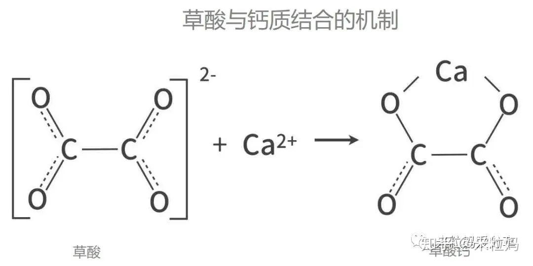 孕妇要补钙吗(孕妇补钙要吃啥)-硒宝网