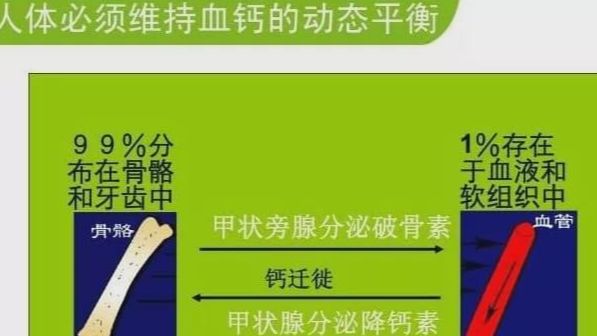 秋季补钙(秋季补钙从几月份开始)-硒宝网