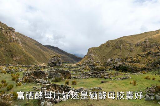 硒维康硒片的功效(硒维康的功效)-硒宝网