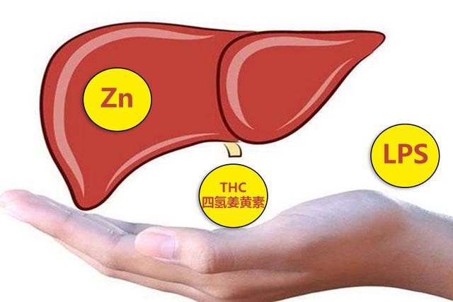 18种微量元素对人体作用(人体微量元素作用以及来源)-硒宝网