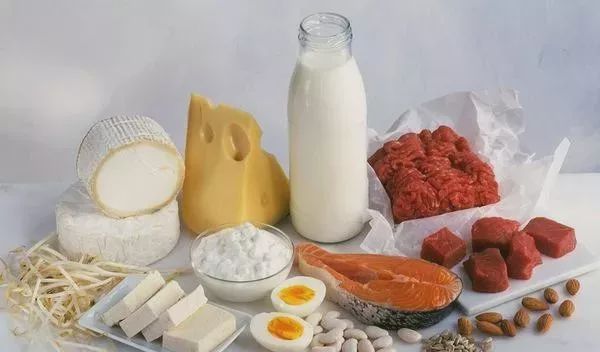 狗 补钙(补钙狗粮哪个牌子好)-硒宝网