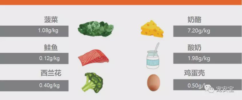 狗 补钙(补钙狗粮哪个牌子好)-硒宝网