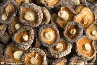 孩子能吃硒维康么(能吃孩子硒维康胶囊吗)-硒宝网