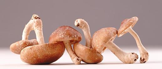 孩子能吃硒维康么(能吃孩子硒维康胶囊吗)-硒宝网