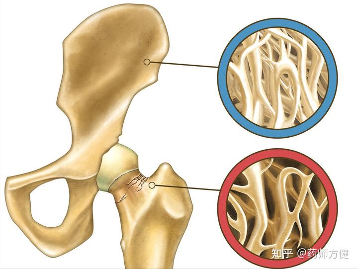 中老年人补钙什么时间吃钙片最好(老年人吃补钙片什么时候吃最佳)-硒宝网