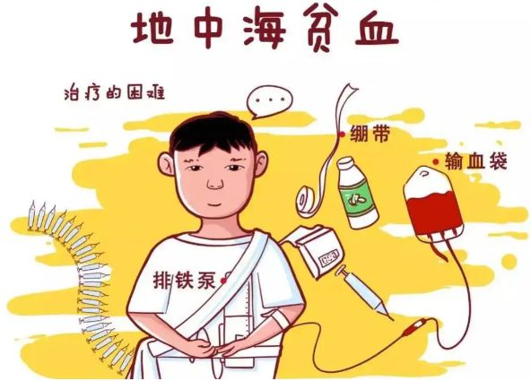 补铁有什么作用和功效（功效作用补铁有什么）-硒宝网