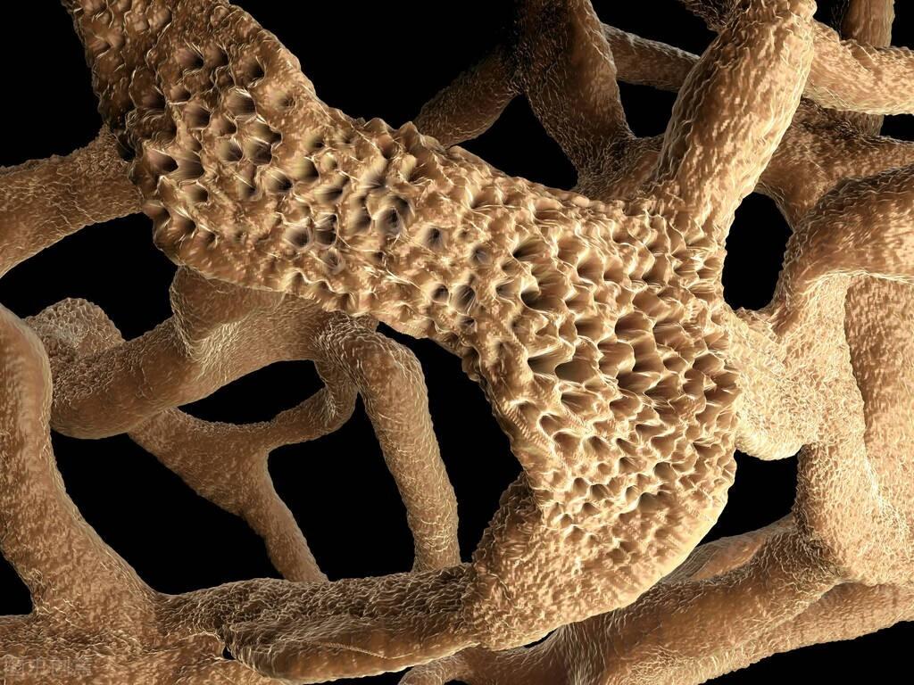 科学补钙（科学补钙小妙招）-硒宝网