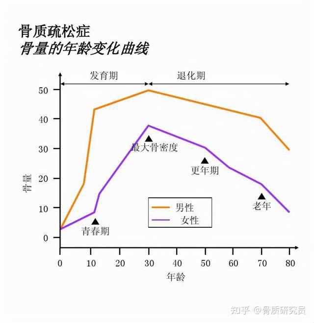 骨质疏松补钙有用吗(疏松补钙骨质用有哪些药)-硒宝网