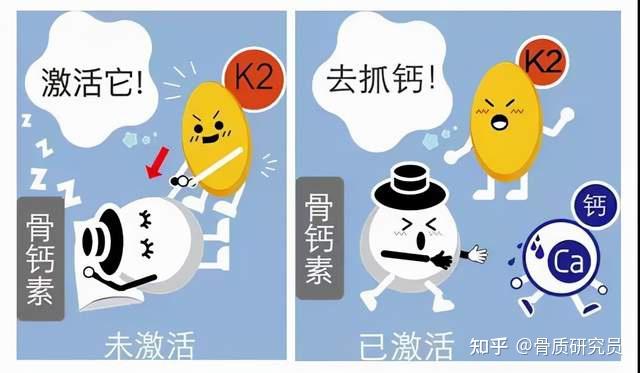 骨质疏松补钙有用吗(疏松补钙骨质用有哪些药)-硒宝网