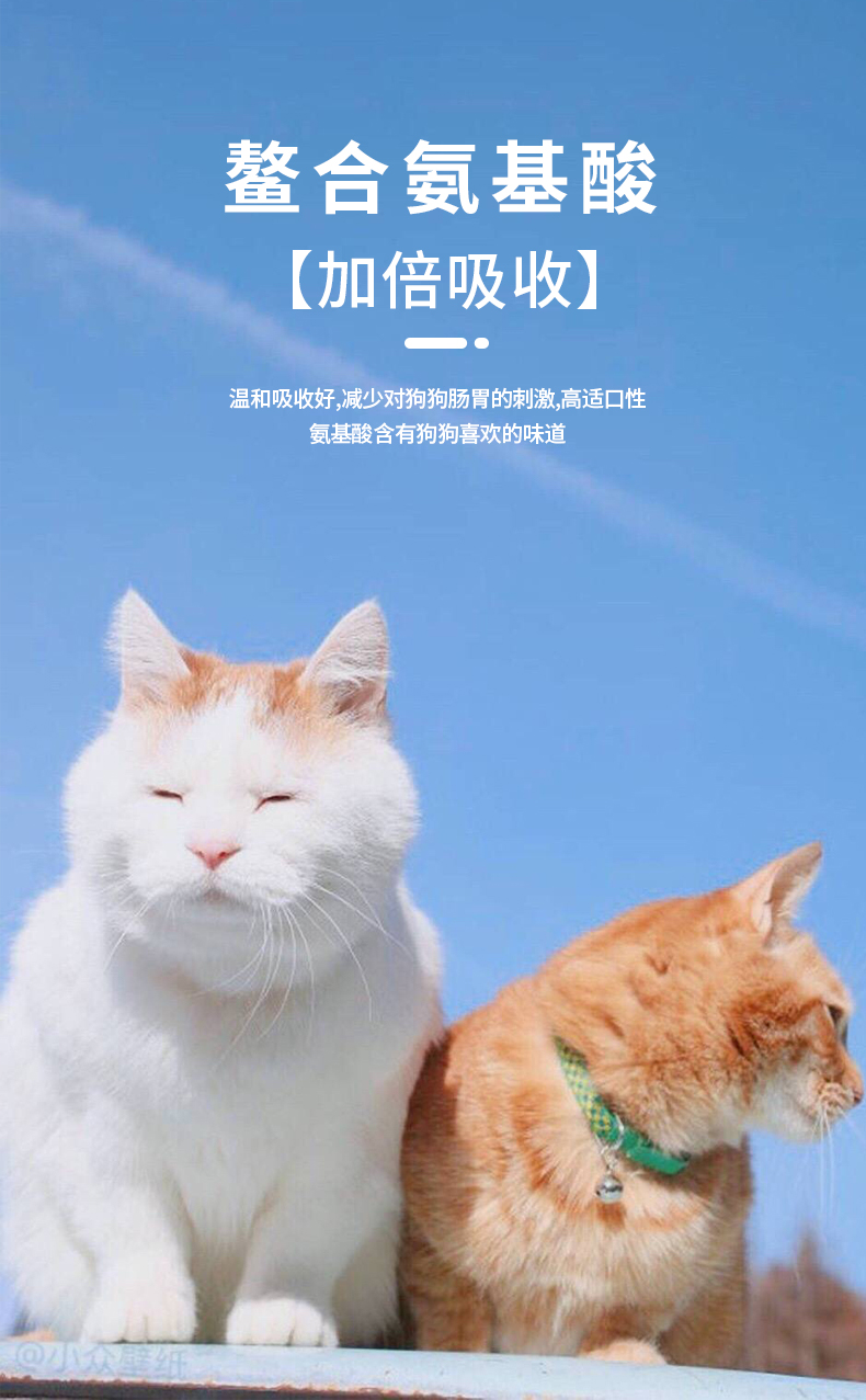 小孩补充微量元素吃什么好（补充微量元素对小朋友的好处）-硒宝网