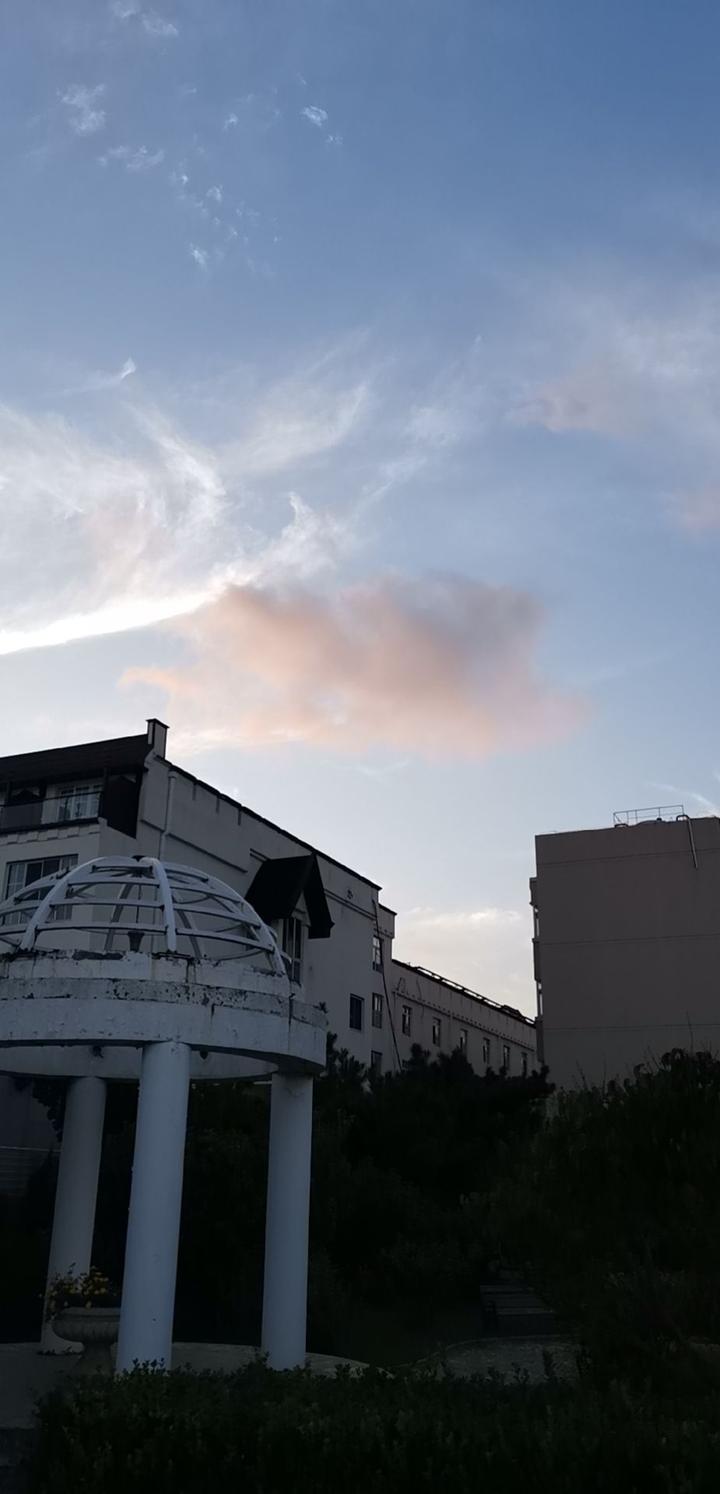 黑芝麻补钙效果好吗(芝麻效果补钙黑好还是白好)-硒宝网