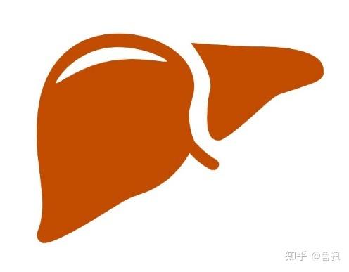 硒维康可以护肝吗（硒维康对肝脏有用吗）-硒宝网