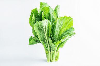 宝宝补铁的食物有哪些(宝宝吃补铁的食物)-硒宝网