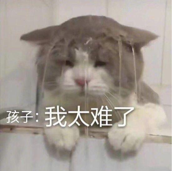 宝宝补铁的食物有哪些(宝宝吃补铁的食物)-硒宝网