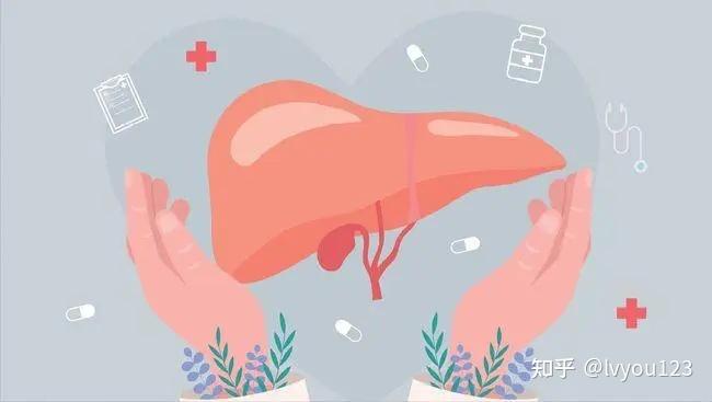 硒维康可以护肝吗(硒维康是保健品吗)-硒宝网