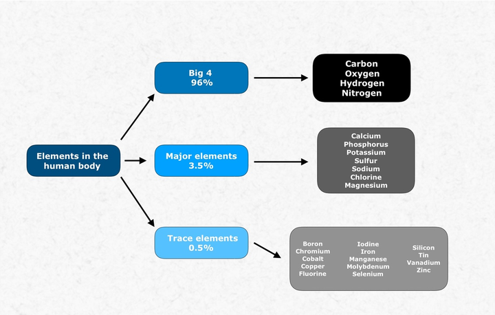 微量元素的概念（微量元素概念是什么）-硒宝网