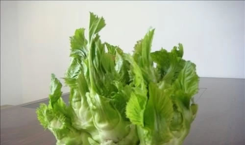 补钙最好的食品(补钙的好食品)-硒宝网