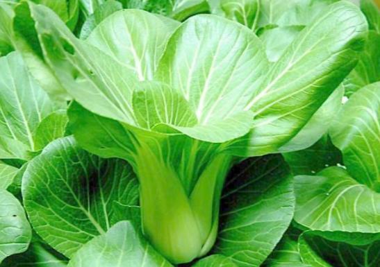 虾皮怎么吃最补钙（吃虾皮补钙效果好吗）-硒宝网