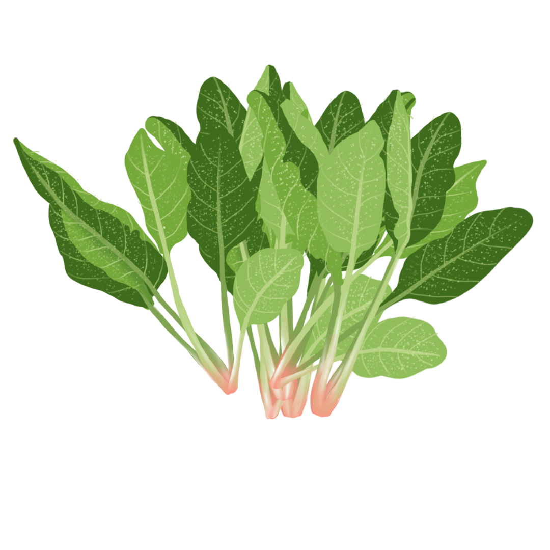 小孩缺微量元素怎么补(孩子缺少微量元素)-硒宝网