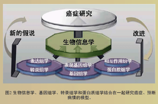 硒维康会不会中毒(长期服用硒维康的副作用)-硒宝网