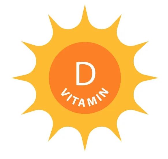 什么季节补钙最好(这个季节补钙)-硒宝网