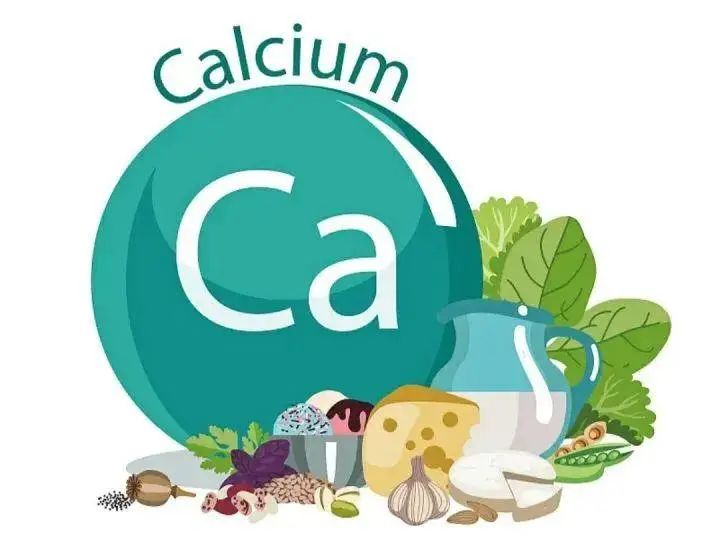 什么季节补钙最好(这个季节补钙)-硒宝网