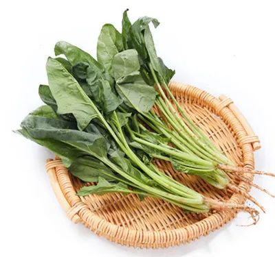 什么季节补钙最好(这个季节补钙)-硒宝网