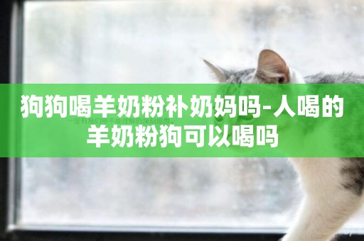 狗狗吃什么补钙最快（狗狗补钙吃人吃的钙片可以吗）-硒宝网