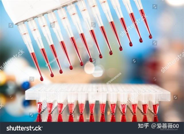 补血补铁的食物有哪些（补血食物补铁有用吗）-硒宝网