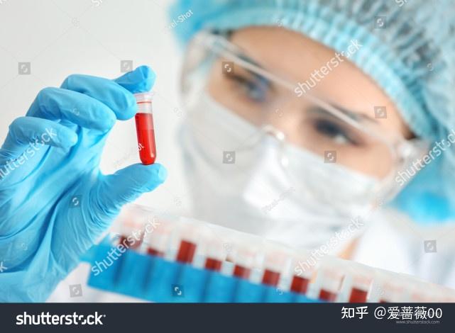 补血补铁的食物有哪些（补血食物补铁有用吗）-硒宝网