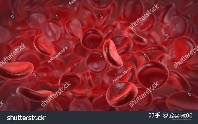 补血补铁的食物有哪些（补血食物补铁有用吗）-硒宝网