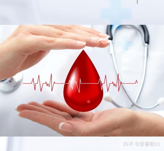 补血补铁的食物有哪些（补血食物补铁有用吗）-硒宝网