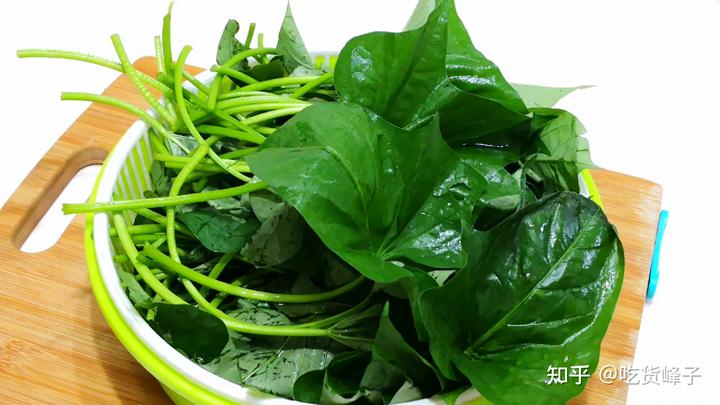 补钙吃什么蔬菜最好最快(蔬菜类补钙食物有哪些)-硒宝网