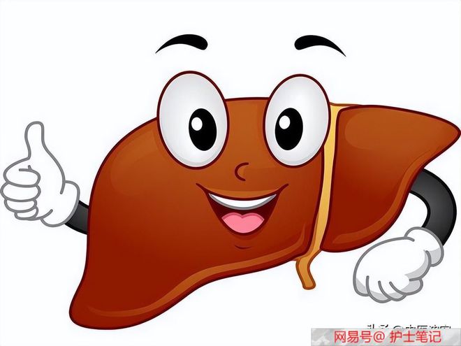 补钙吃什么药(吃补钙的药)-硒宝网