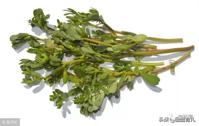 孕妇补铁的食物(孕妇食物补铁补血什么最快)-硒宝网