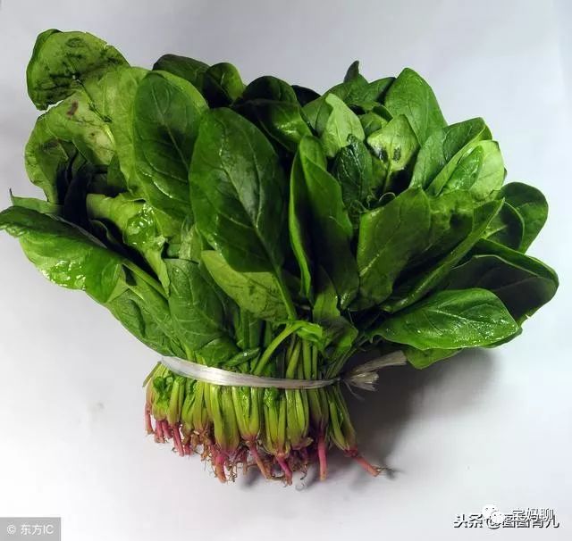 孕妇补铁的食物(孕妇食物补铁补血什么最快)-硒宝网