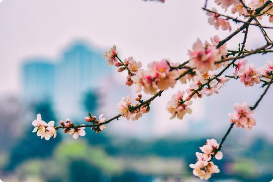 补钙吃什么药(药补钙片)-硒宝网