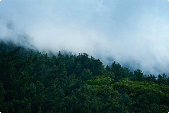 补钙吃什么药(药补钙片)-硒宝网