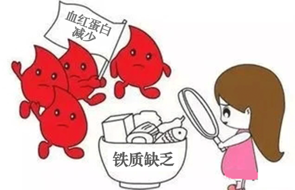 补铁药物(药物补铁吃什么)-硒宝网