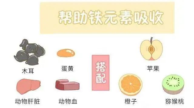 补铁药物(药物补铁吃什么)-硒宝网