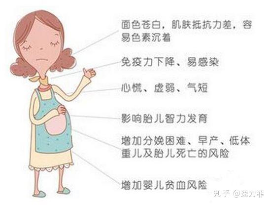 什么补铁(补铁的药有哪些)-硒宝网