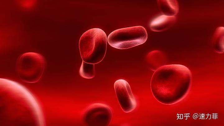 什么补铁(补铁的药有哪些)-硒宝网