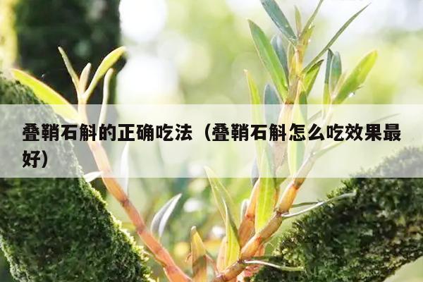 维硒康口嚼片功效(硒维康口嚼片适合人群)-硒宝网