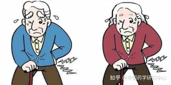 补钙的水果有哪些(水果哪些补钙)-硒宝网