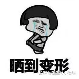 晒太阳补钙(晒太阳补钙需要晒多长时间)-硒宝网