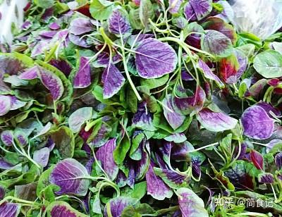 十大补钙蔬菜(蔬菜补钙比牛奶补钙效果好)-硒宝网