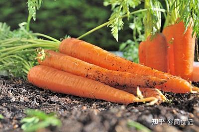 十大补钙蔬菜(蔬菜补钙比牛奶补钙效果好)-硒宝网