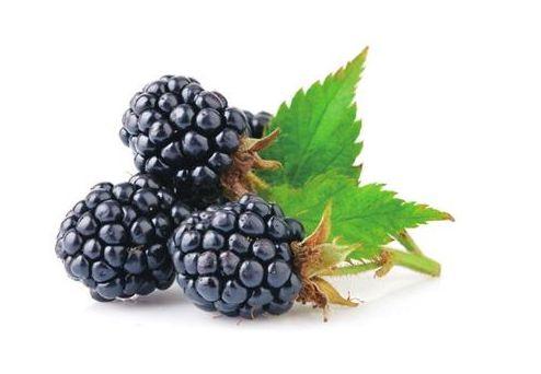 孕妇可吃硒维康吗(孕妇吃硒维康可以吗)-硒宝网